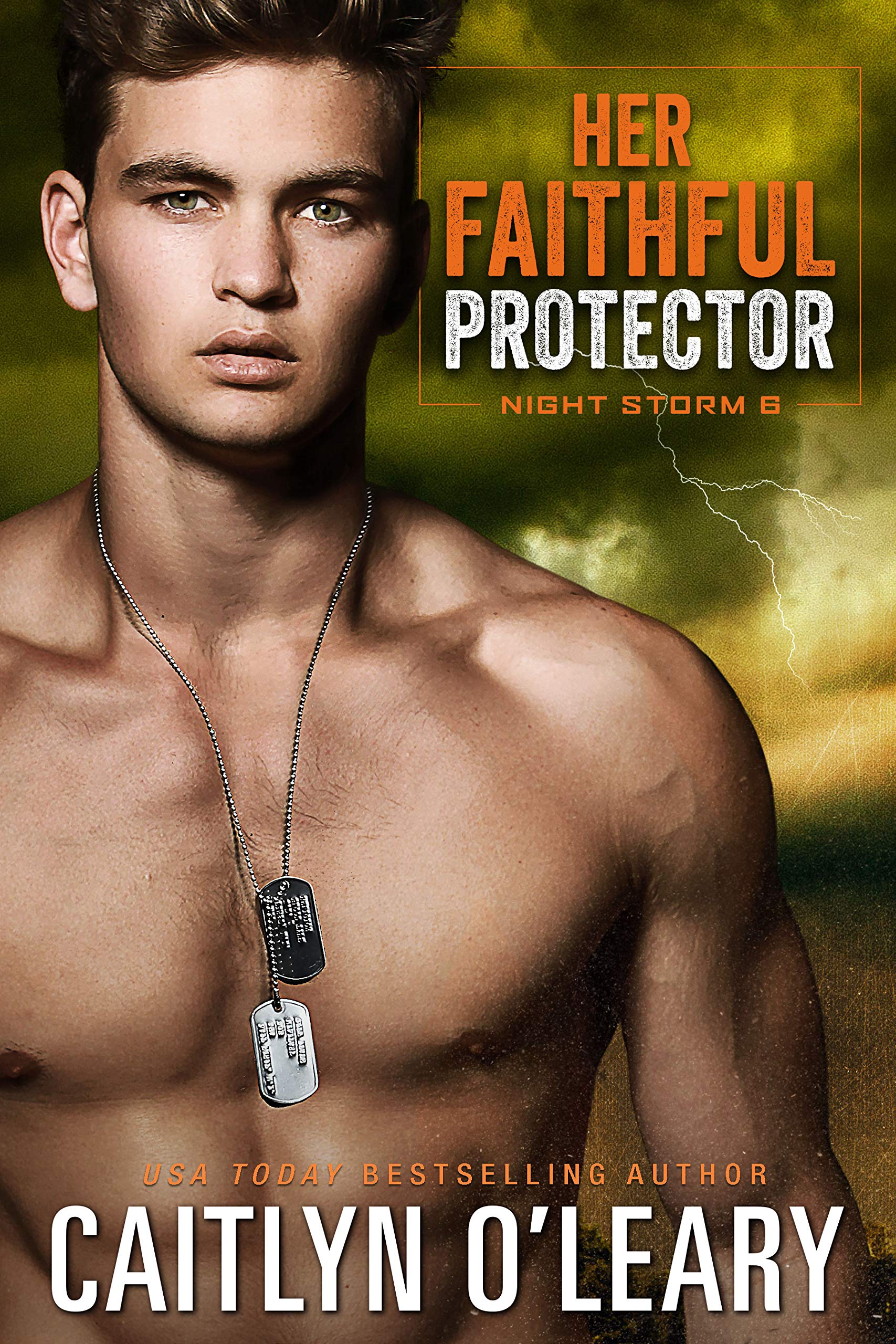 Her Faithful Protector (Night Storm #6)