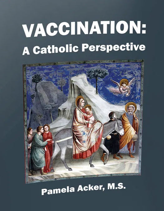 Vaccination: A Catholic Perspective (Paperback)