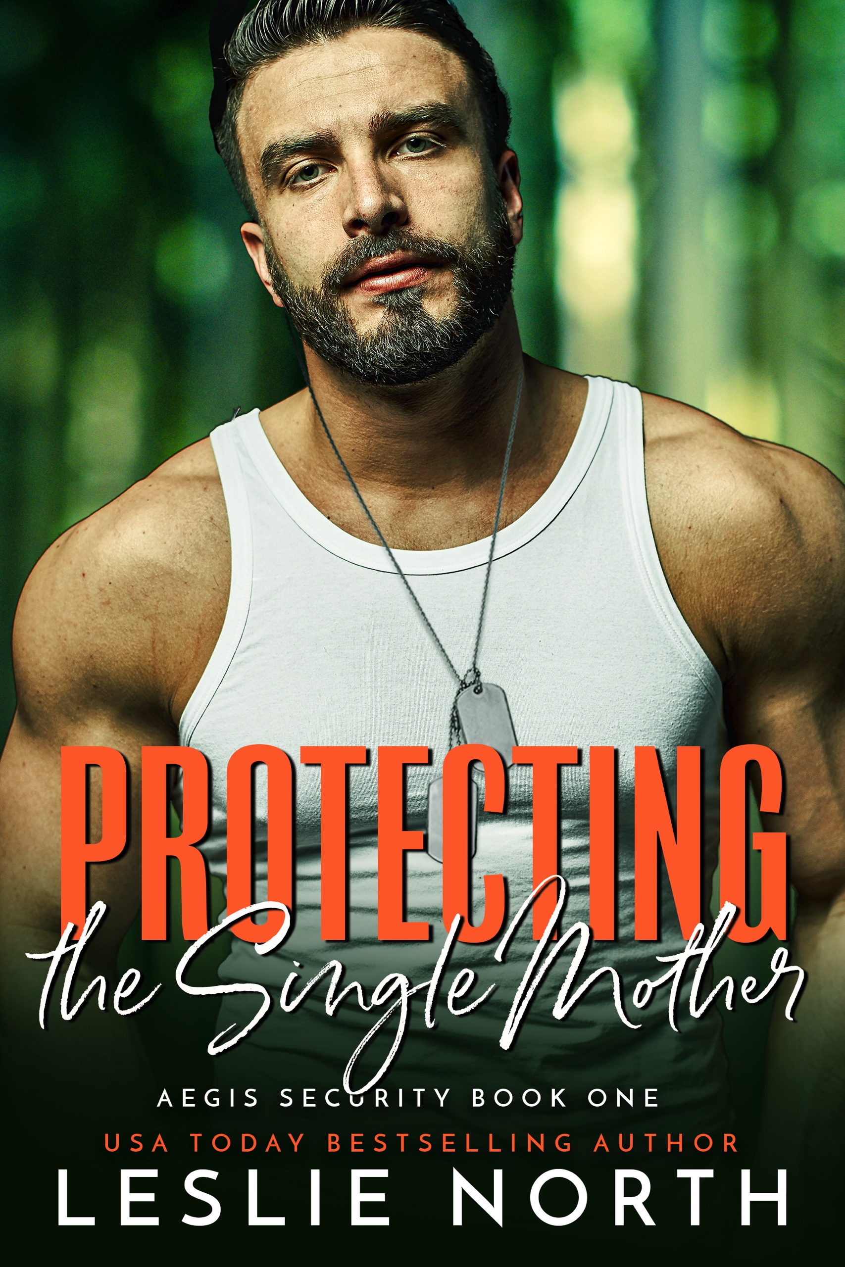 Protecting the Single Mother (Aegis Security, #1)