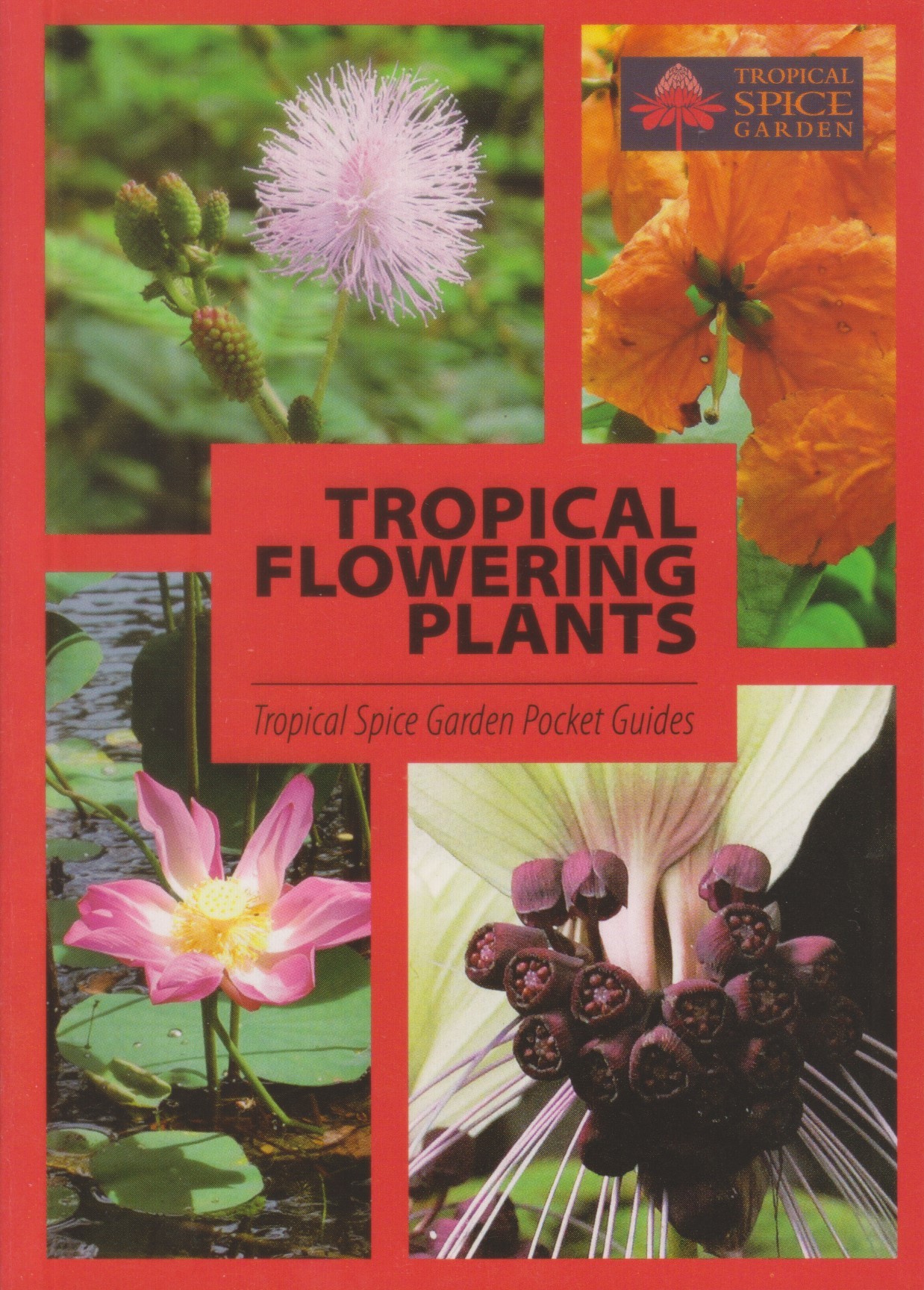 Tropical Flowering Plants: Tropical Spice Garden Pocket Guides