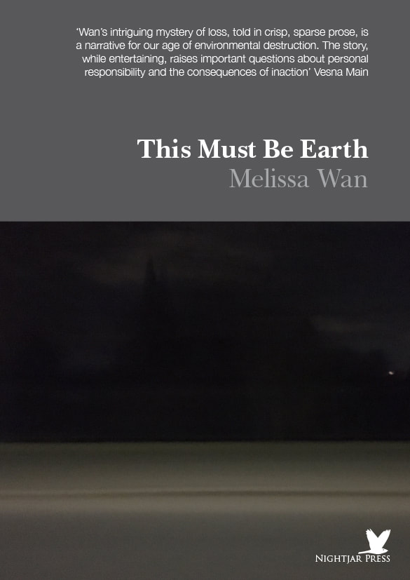 This Must Be Earth (Paperback)