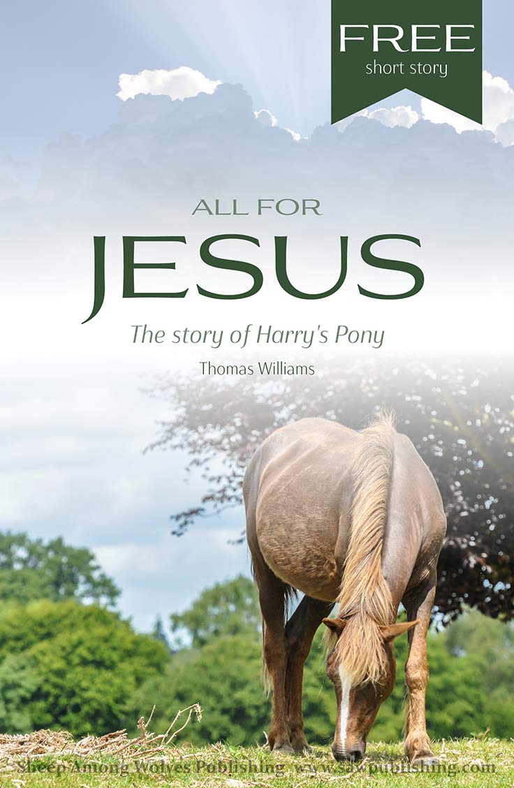 All for Jesus: The Story of Harry’s Pony (ebook)