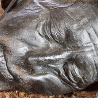 Meet Me at the Museum