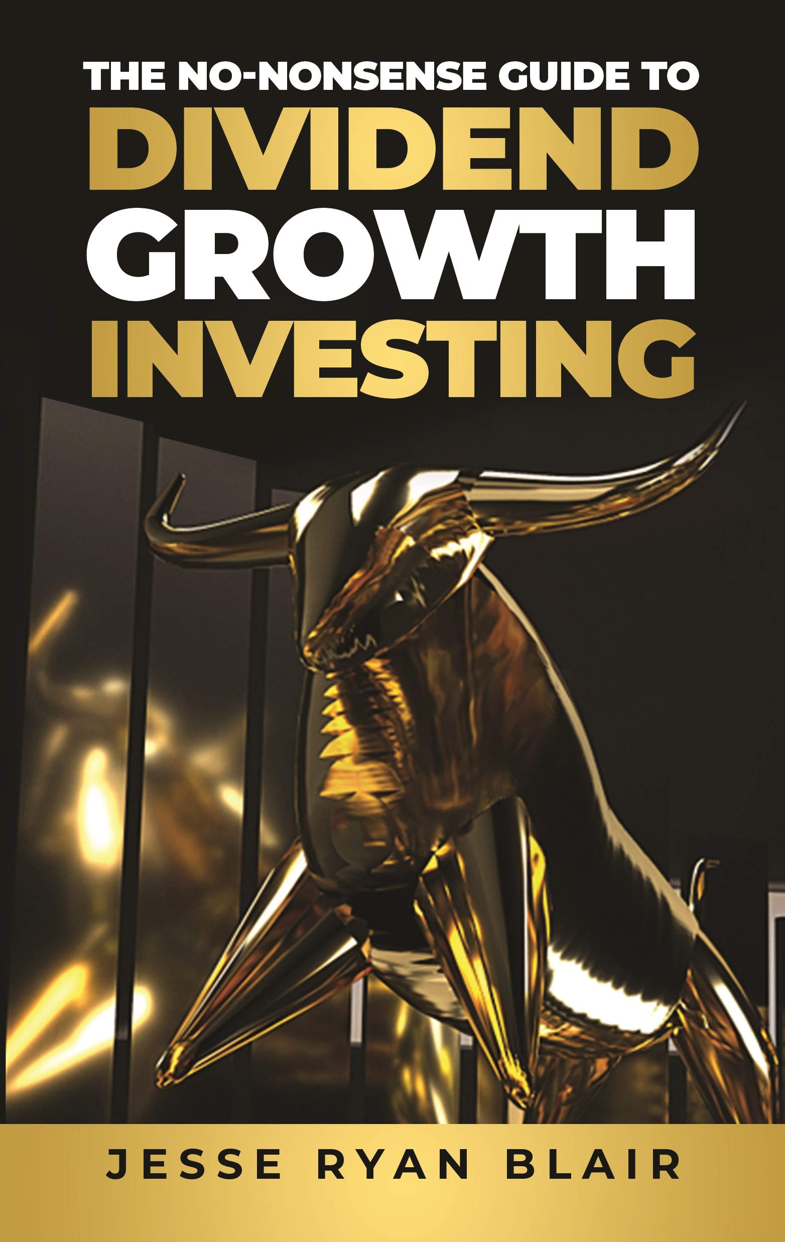 The No-Nonsense Guide to Dividend Growth Investing (Kindle Edition)