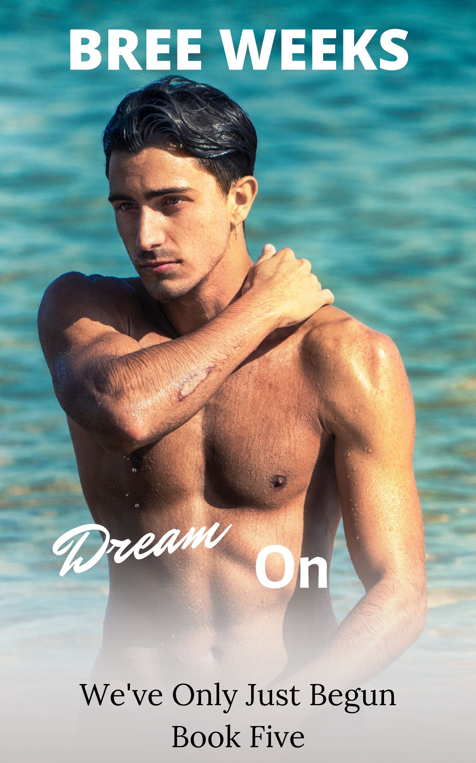 Dream On (We've Only Just Begun #5)