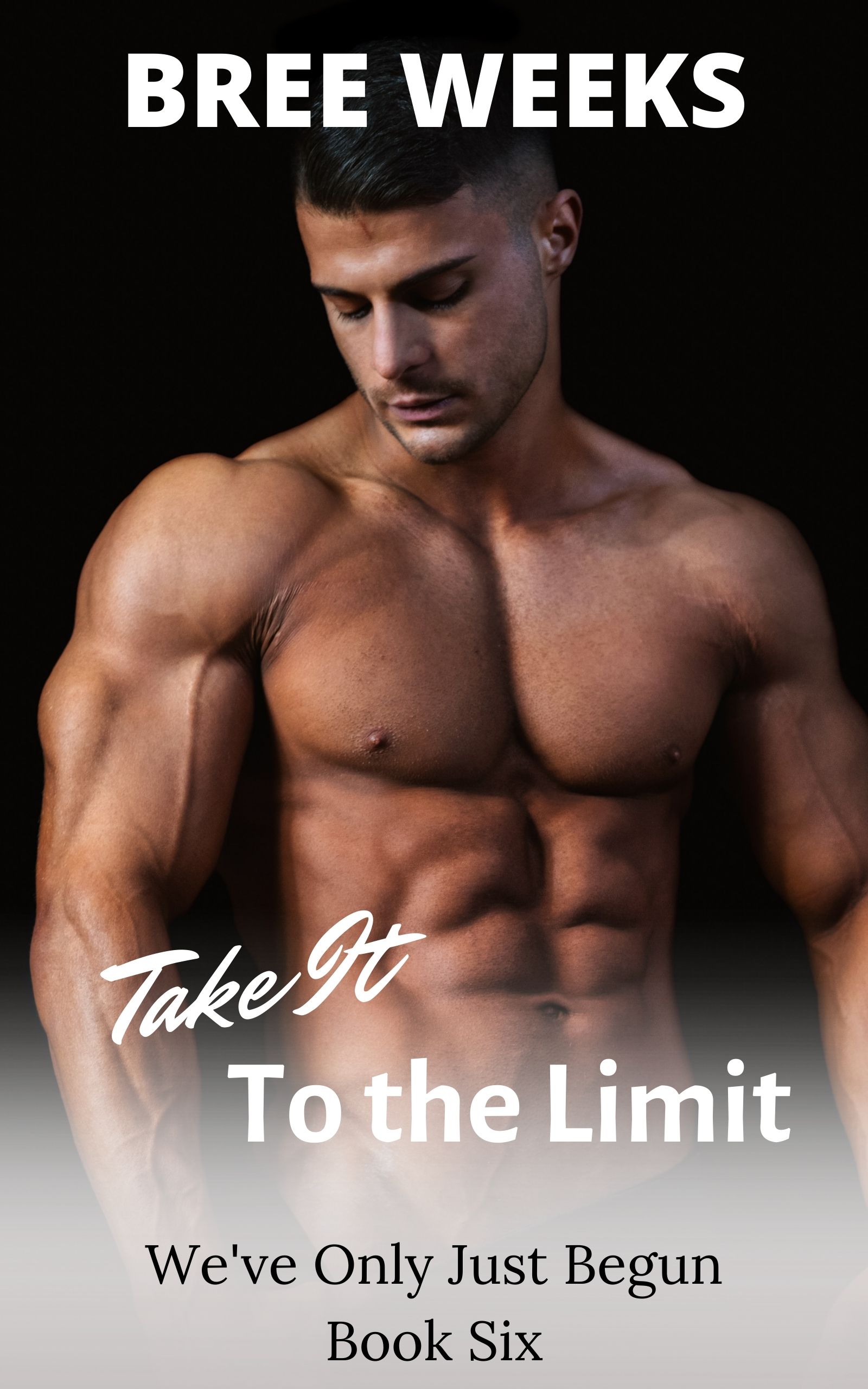 Take It To the Limit (We've Only Just Begun #6)
