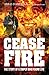 Cease Fire by Abbas Hameed