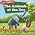The Animals at the Zoo: An ...