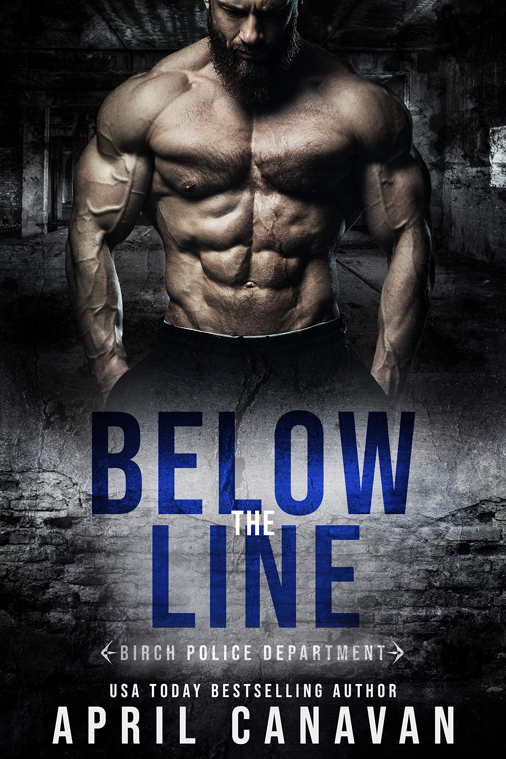 Below the Line (Birch Police Department, #5)