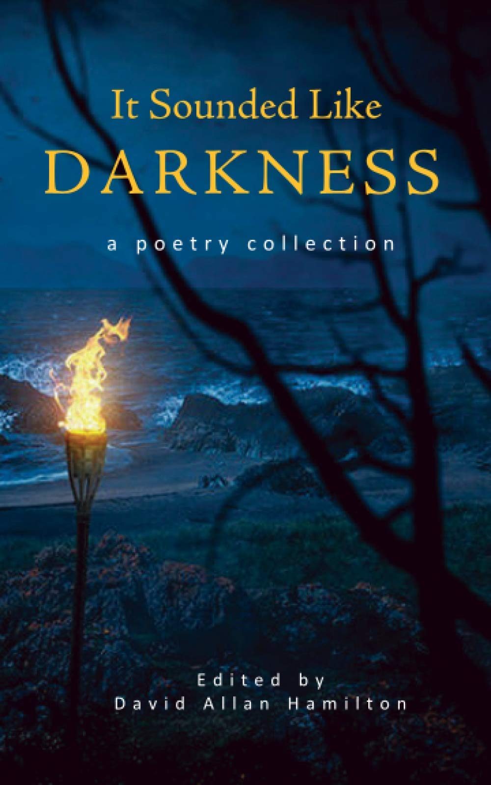 It Sounded Like Darkness