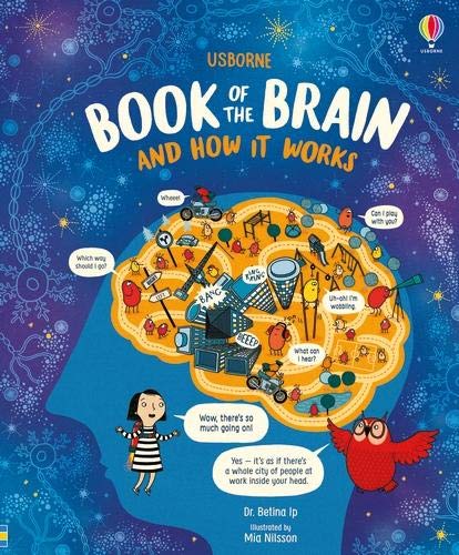 Book of the brain and How it works (Hardcover)