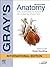 Grays Anatomy The Anatomical Basis Of Clinical Practice by Susan Standring