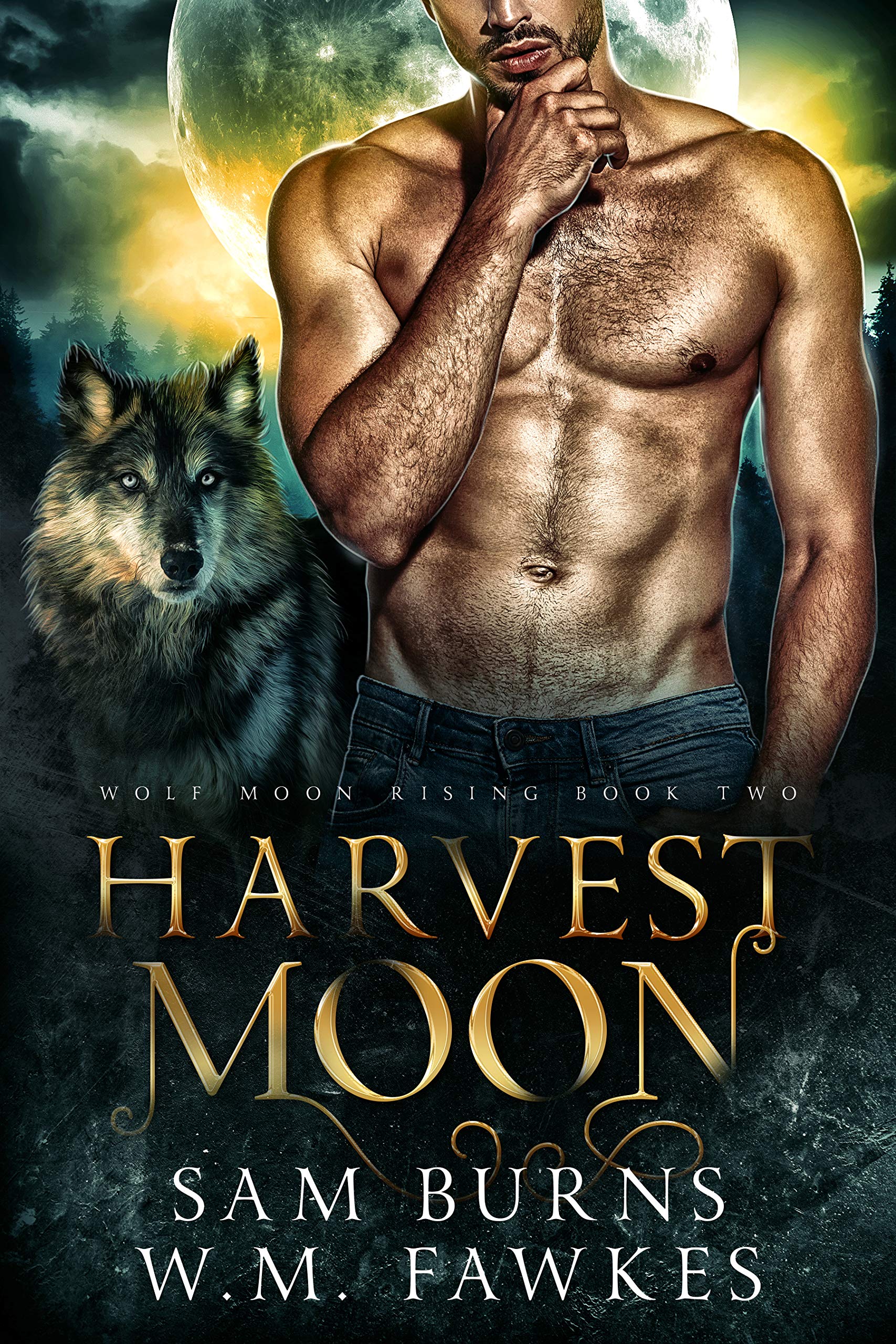 Harvest Moon (Wolf Moon Rising, #2)