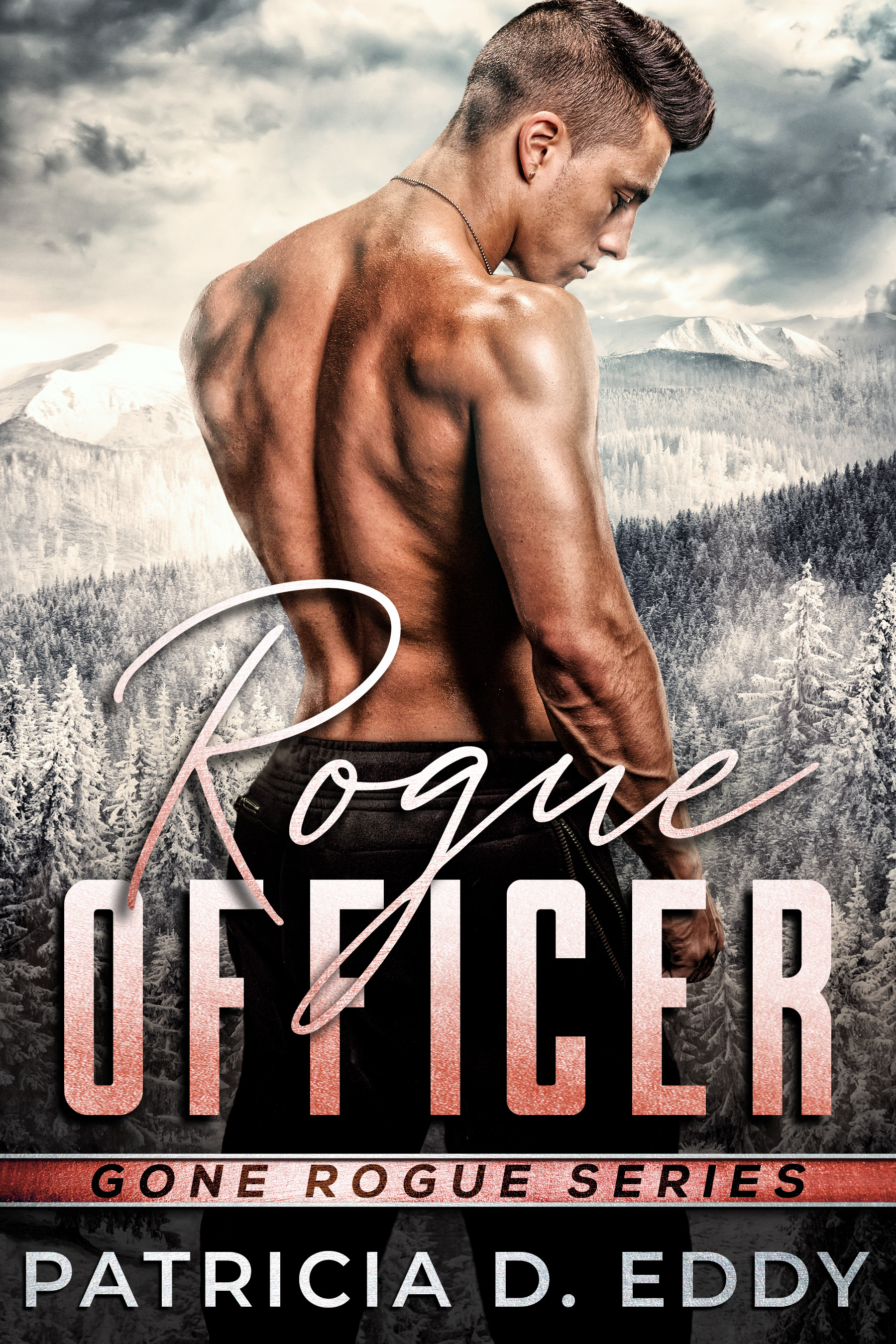 Rogue Officer (Gone Rogue #2)