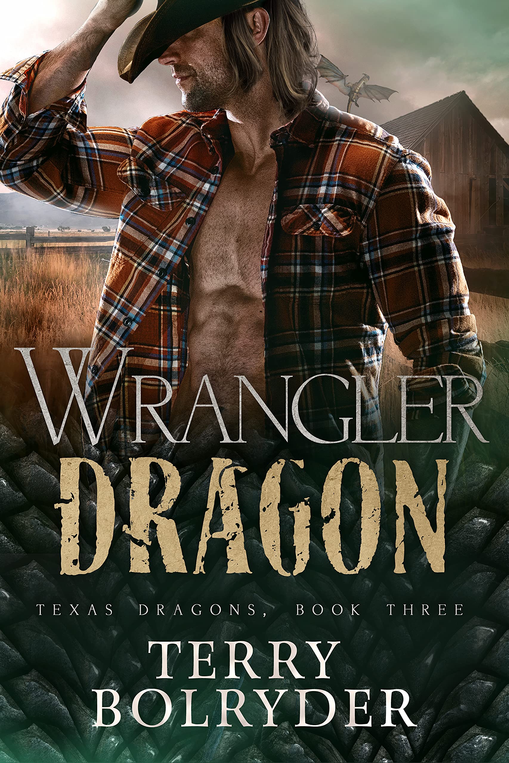 Wrangler Dragon (Texas Dragons, #3)