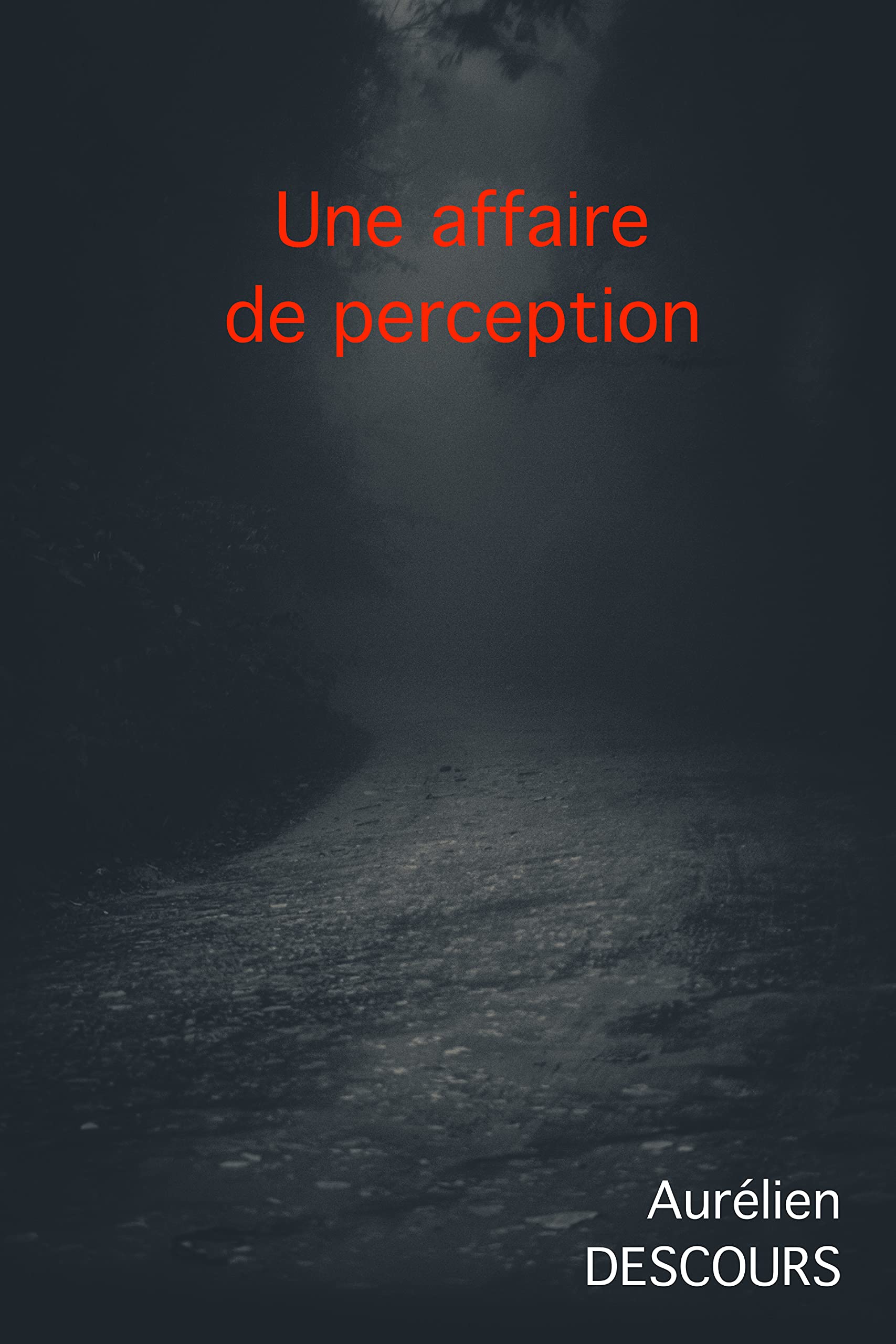 UNE AFFAIRE DE PERCEPTION (French Edition)