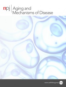 Mitochondrial health is enhanced in rats with higher vs. lower intrinsic exercise capacity and extended lifespan