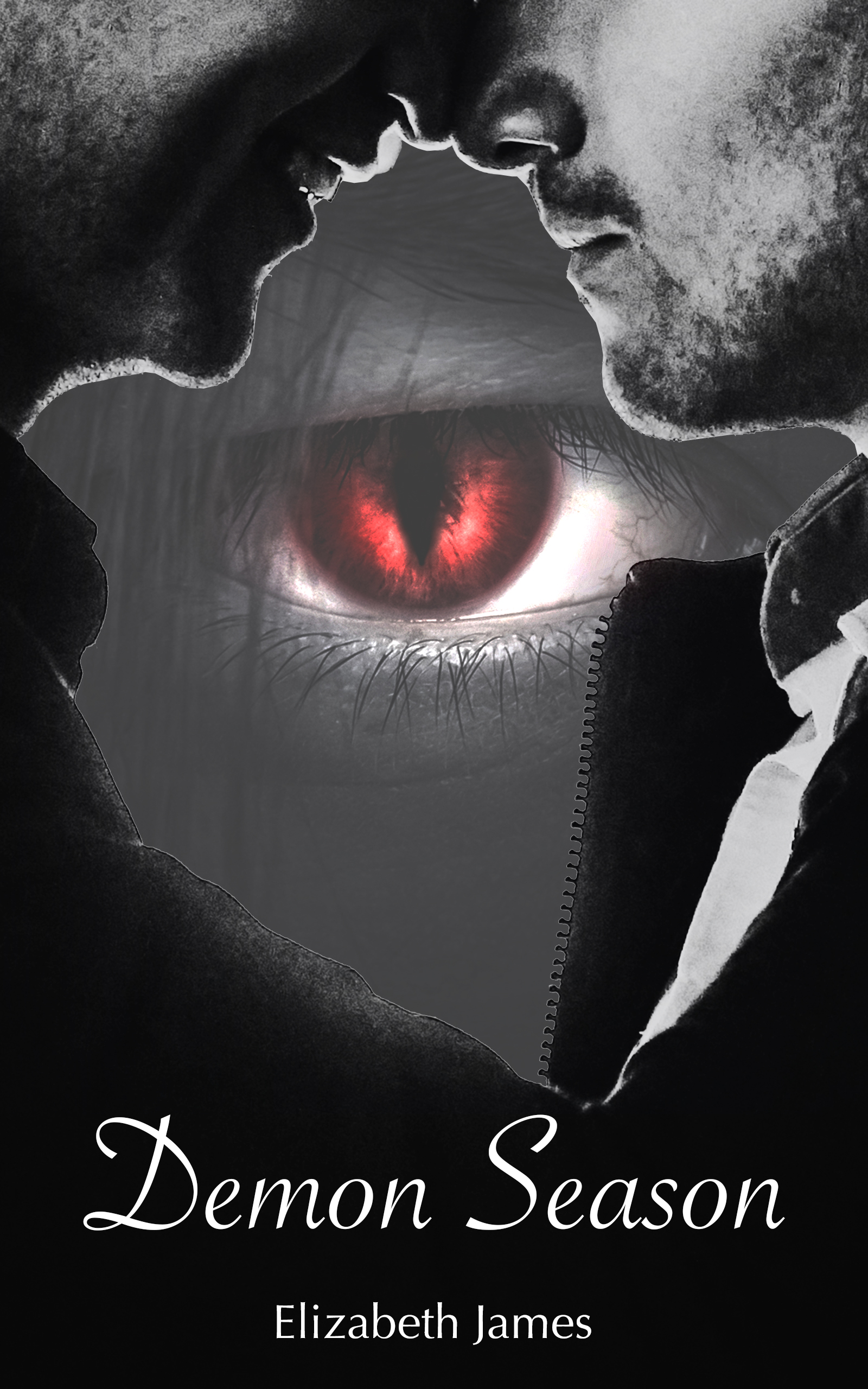 Demon Season (Unknown Binding)