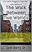 The Walk Between Two Worlds by Don Berry Sr