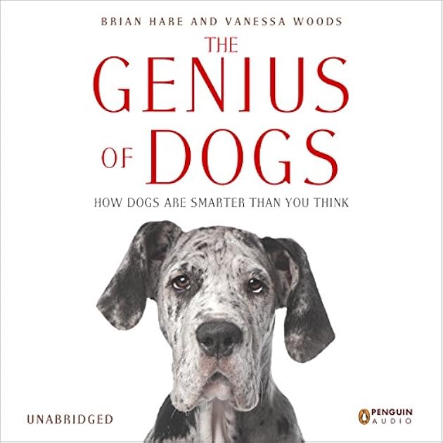 The Genius of Dogs: How Dogs Are Smarter than You Think