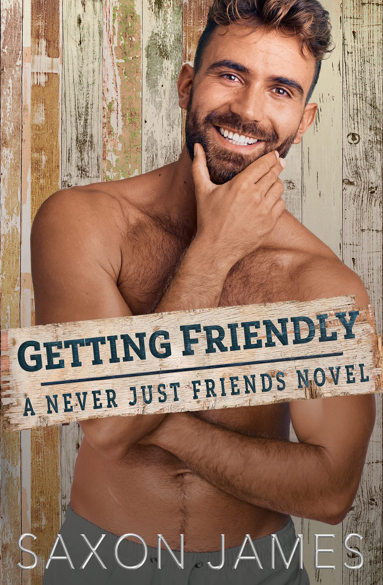 Getting Friendly (Never Just Friends, #3)