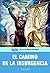 El camino de la insurgencia by Alfredo Ruiz Islas