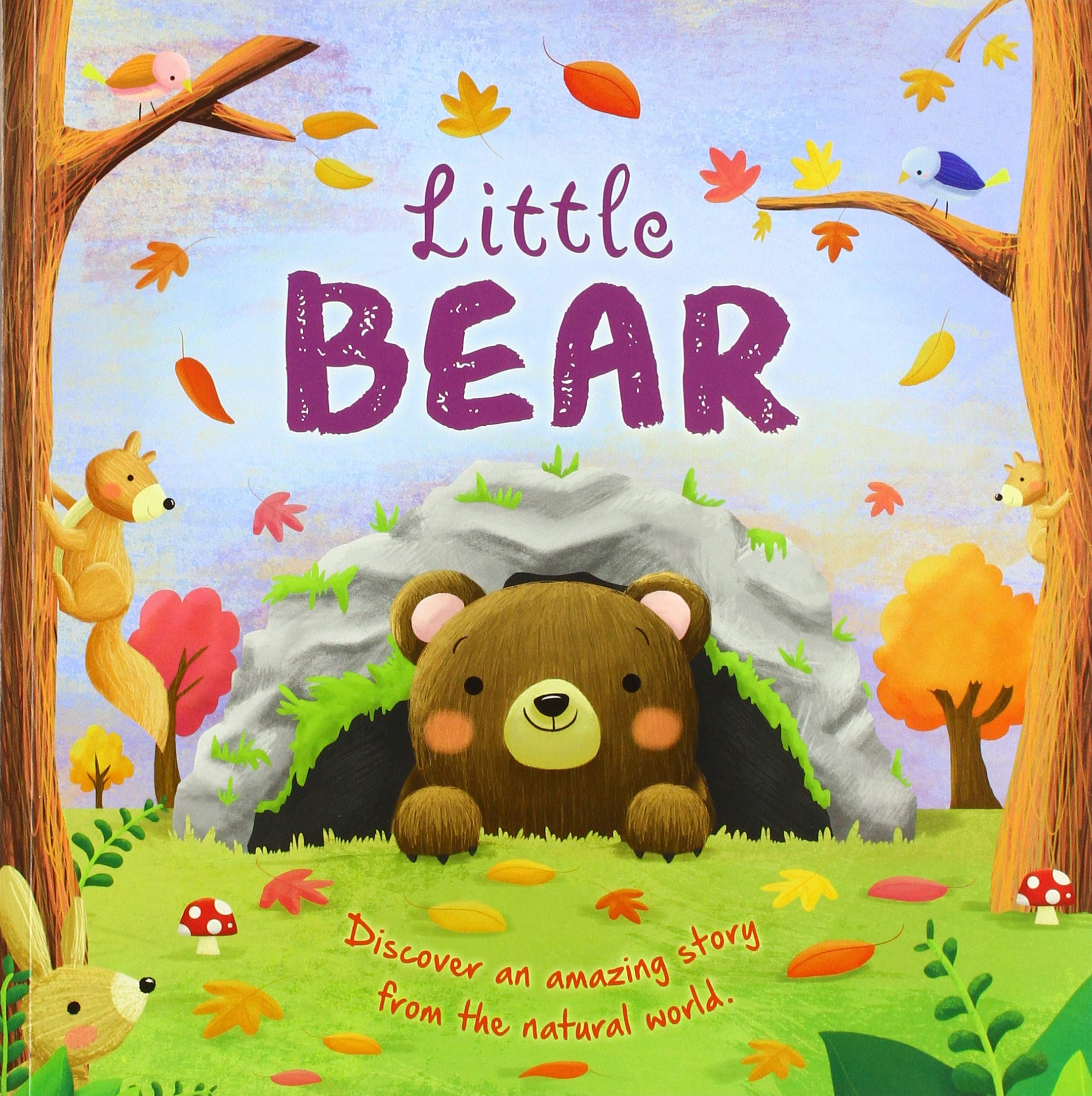 Little Bear (Paperback)