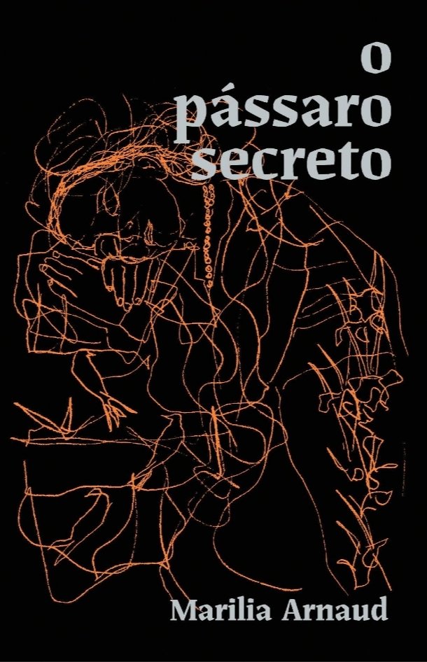 O pássaro secreto