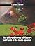 The Different Forms of Flowers on Plants of the Same Species
