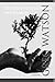The Distance Between Two Hands: poems