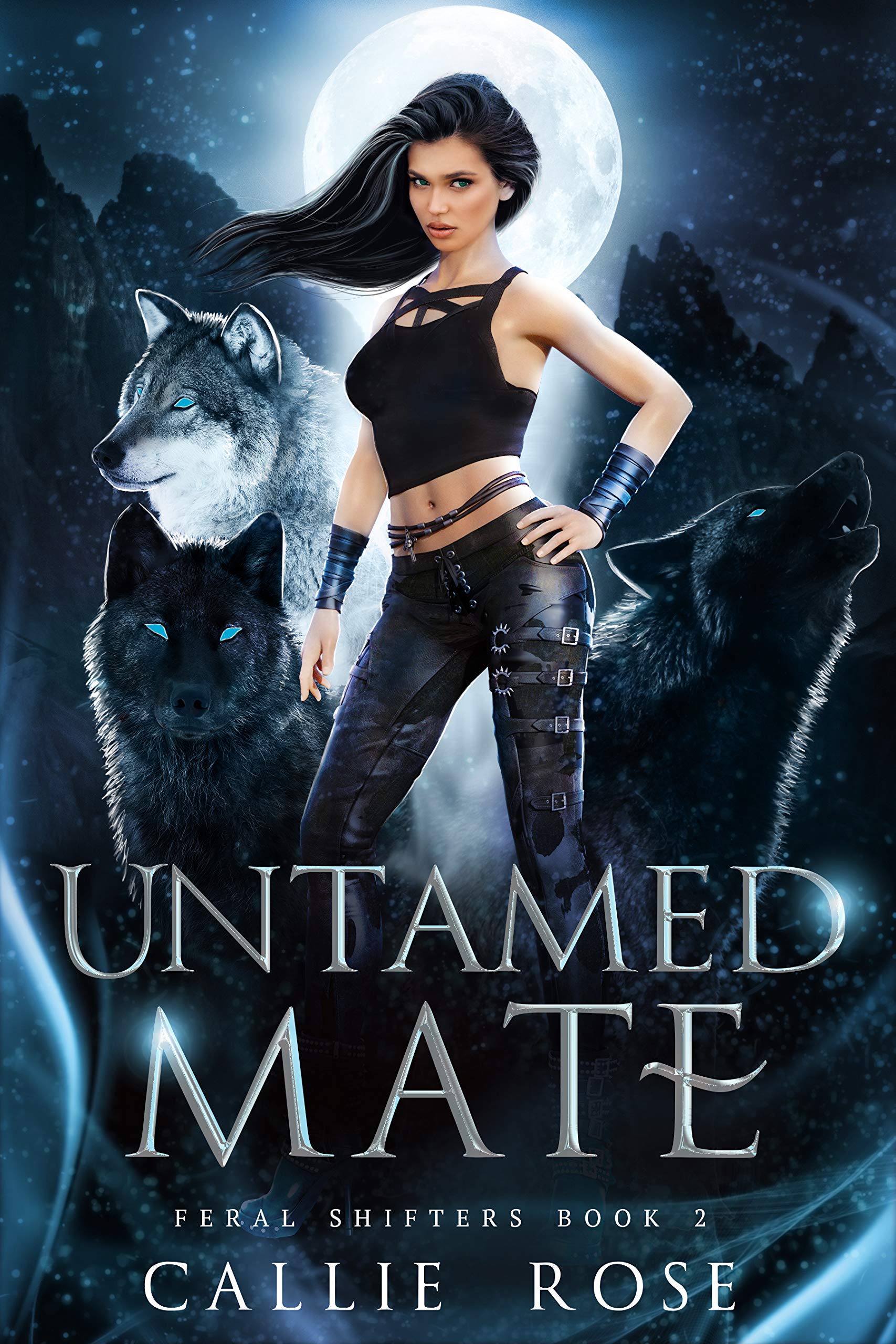 Untamed Mate (Feral Shifters, #2)