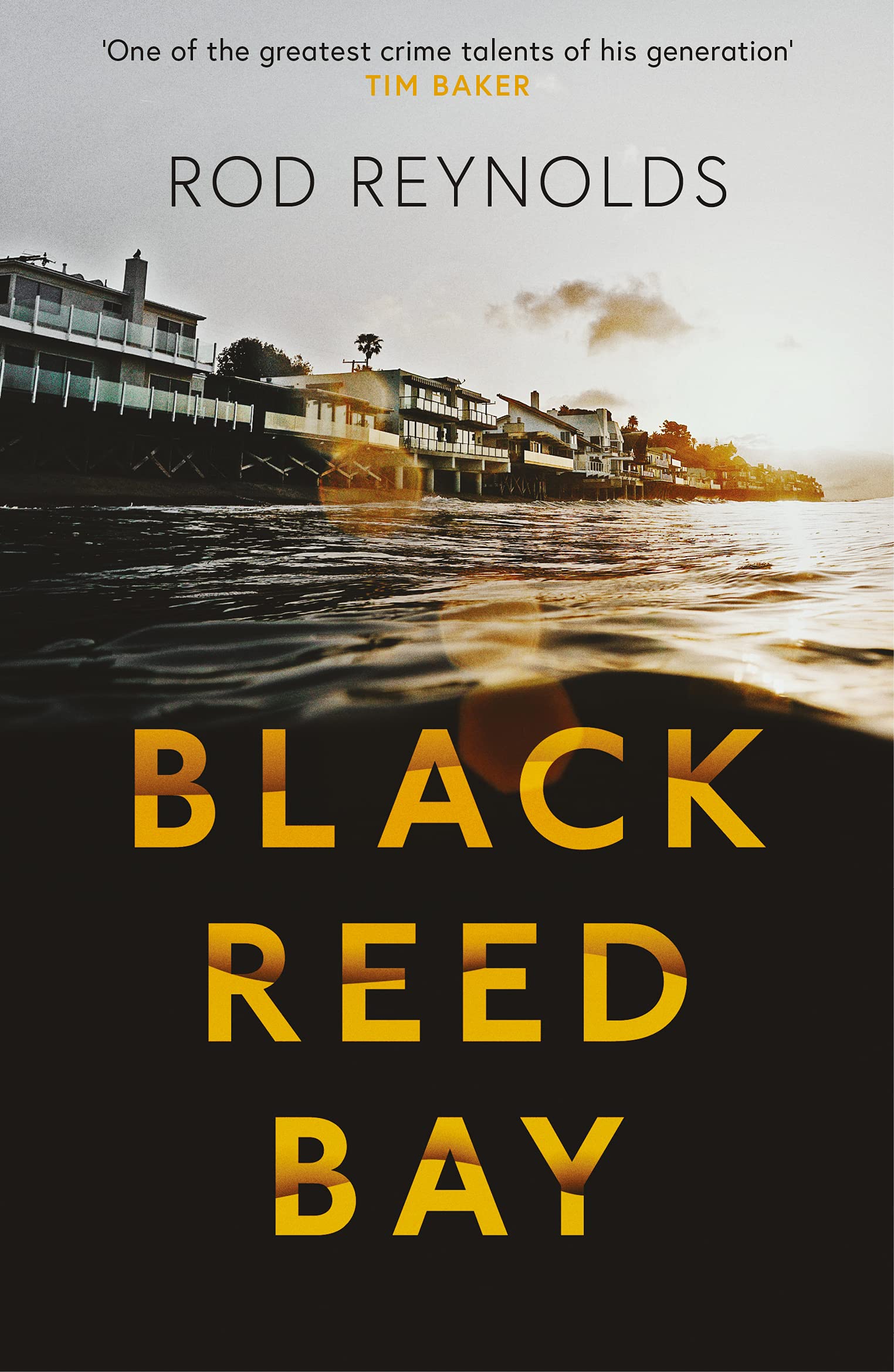 Black Reed Bay (Detective Casey Wray #1)