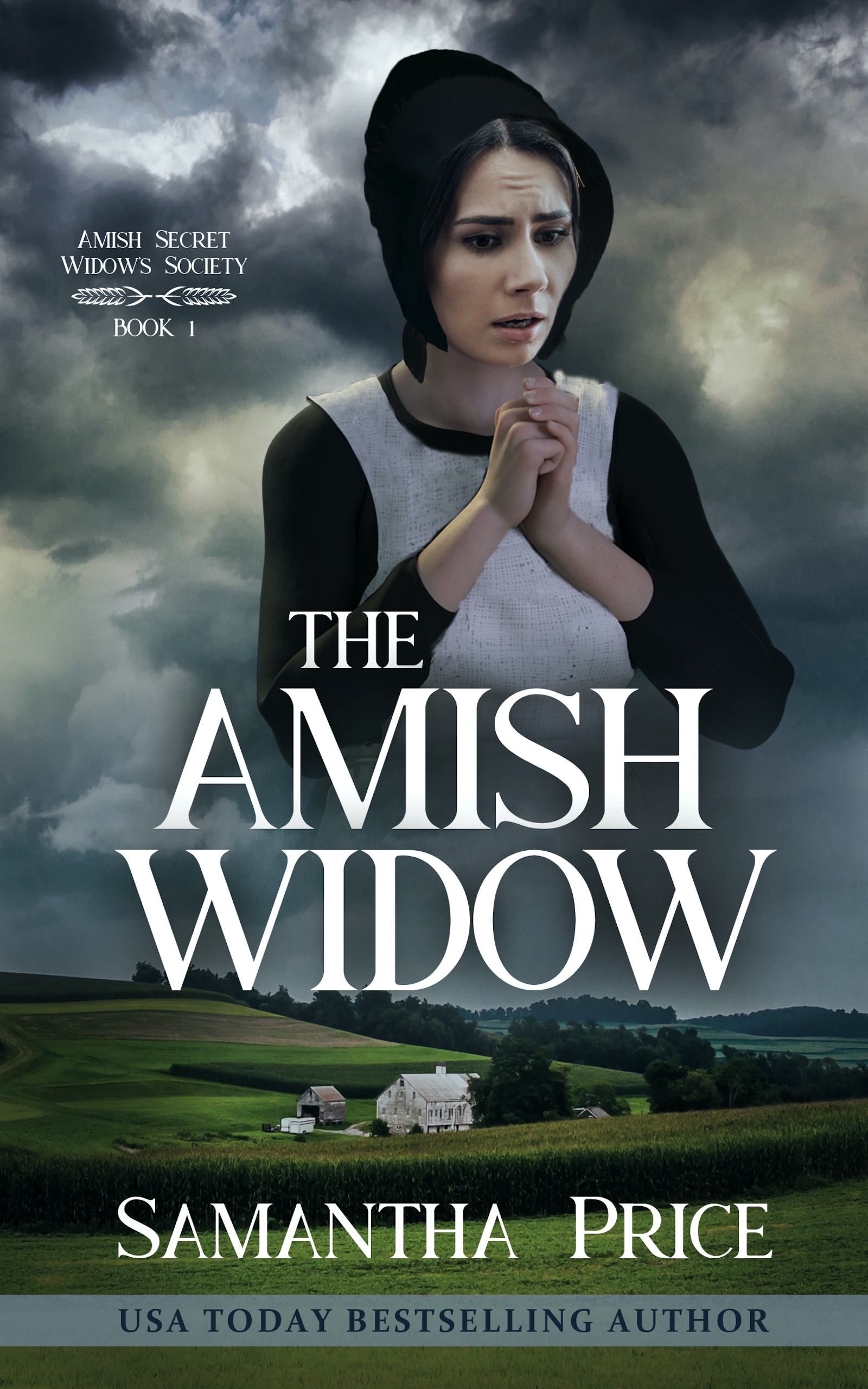 The Amish Widow (Amish Secret Widows' Society #1)
