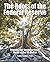 The Roots of the Federal Reserve: Tracing the Nephilim from Noah to the US Dollar