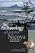 The Archaeology of Greater Nicoya by Larry Steinbrenner