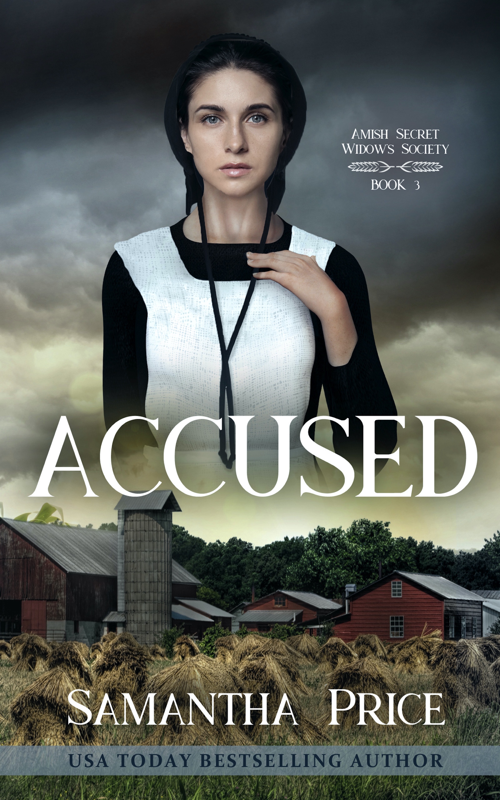 Accused (Amish Secret Widows' Society, #3)