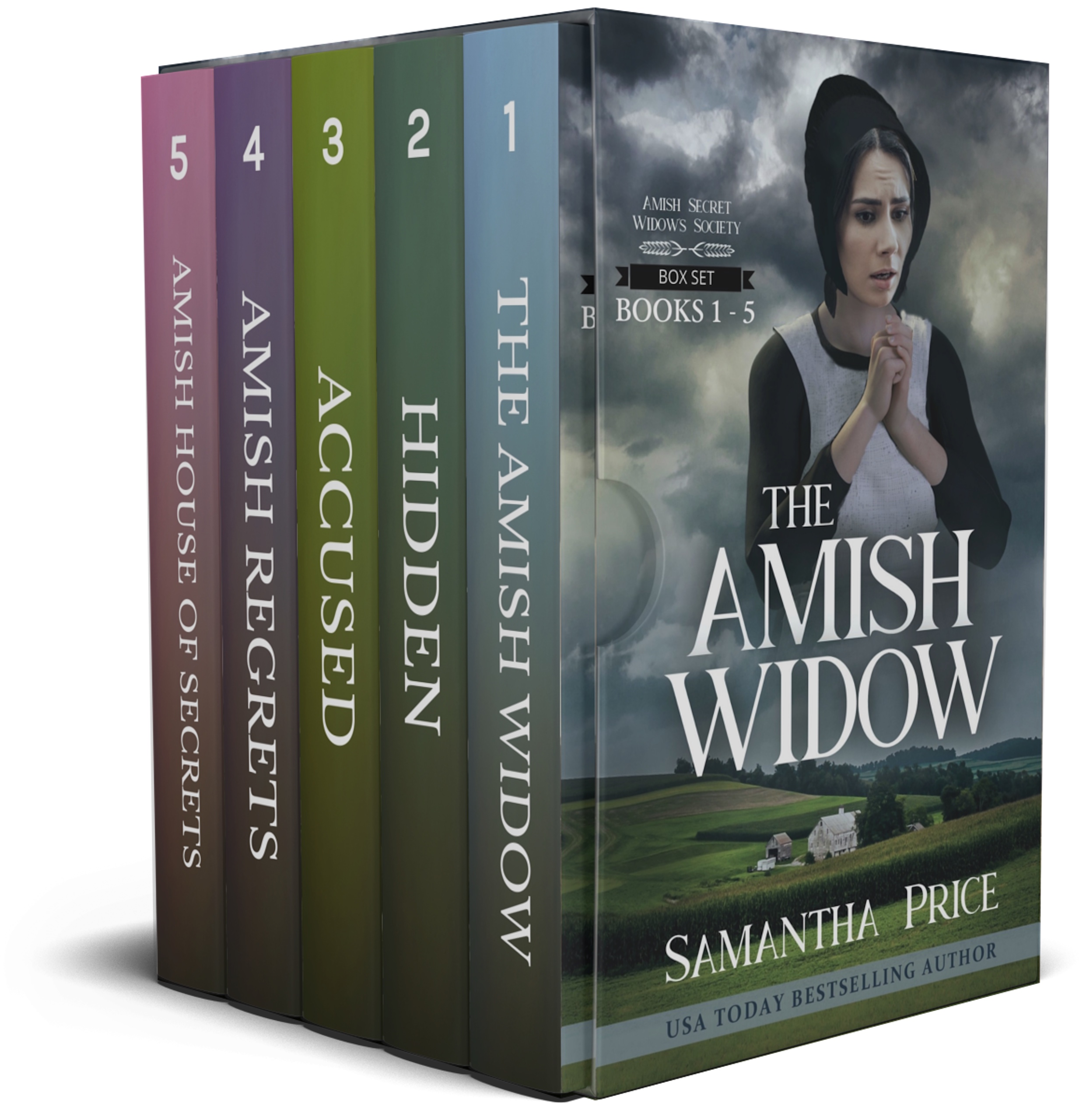 Amish Secret Widows' Society: Books 1 - 5 (Amish Secret Widows' Society #1-5)