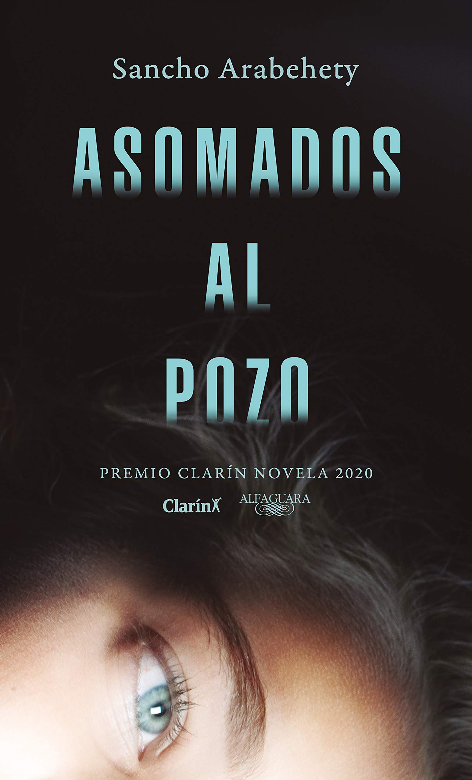 Asomados al pozo (Kindle Edition)
