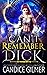 Can't Remember Dick: An Elemental Mythicals Paranormal Romance