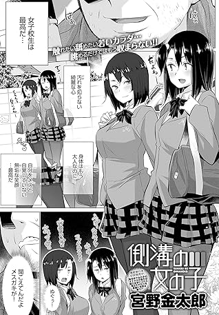 側溝の女の子 By 宮野金太郎