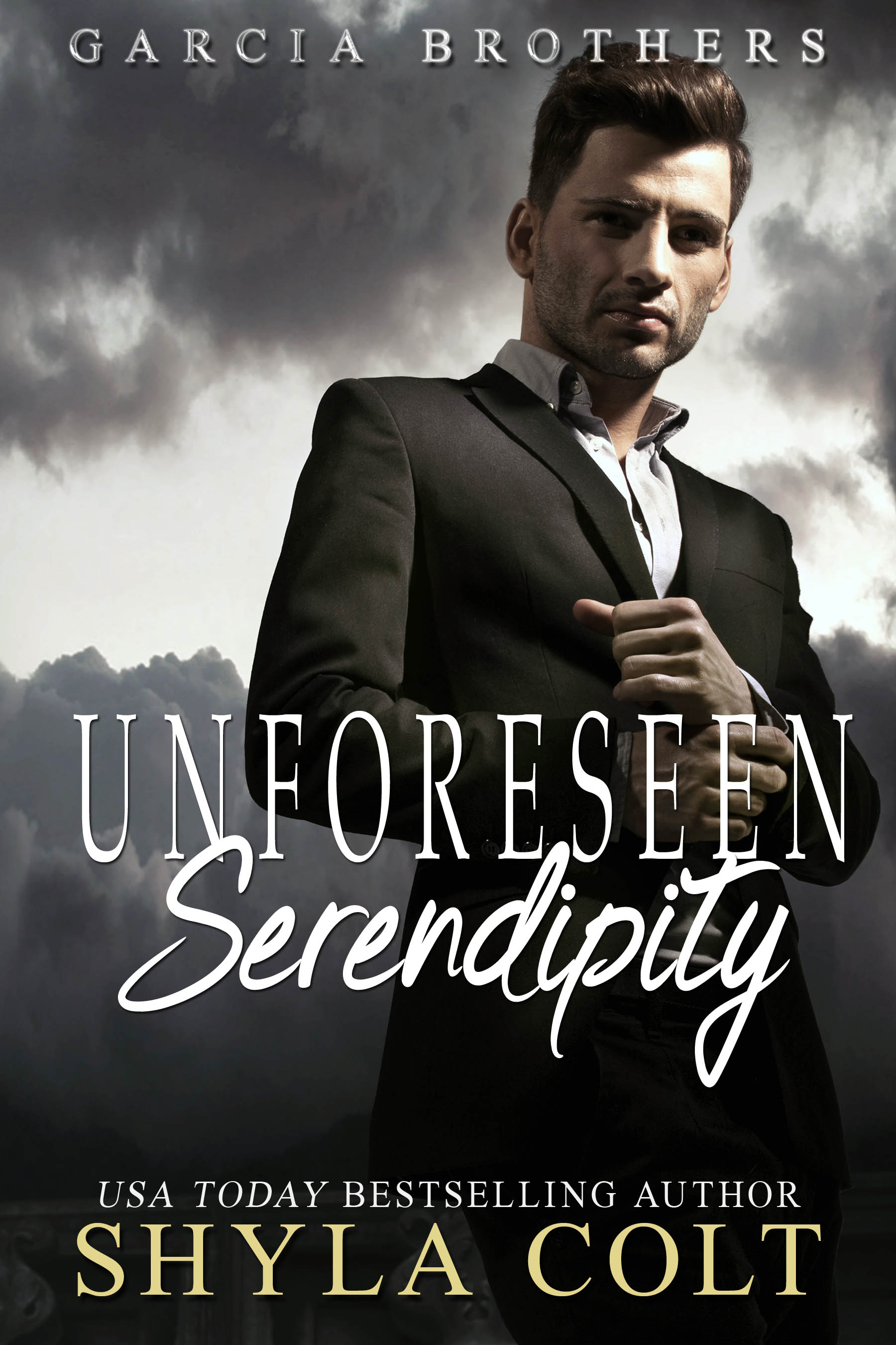 Unforeseen Serendipity (Garcia Brothers #2)
