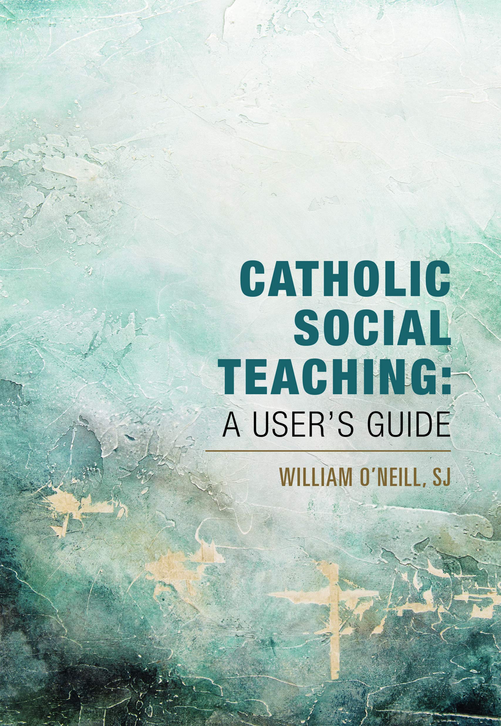 Catholic Social Teaching: A User's Guide (Kindle Edition)
