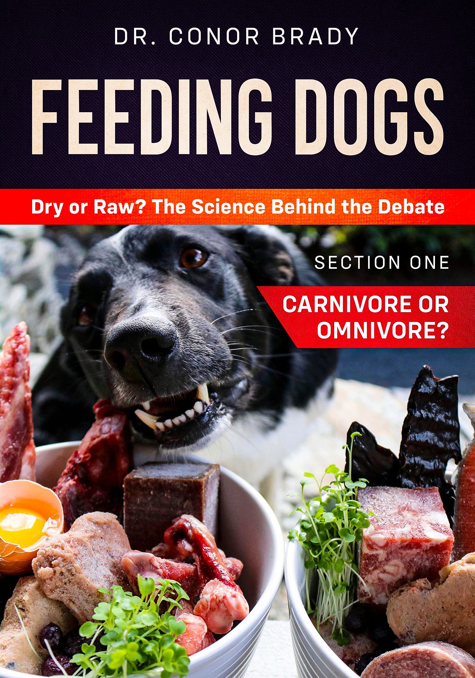 Feeding Dogs. Dry or Raw? The Science Behind The Debate: Section One: Carnivore or Omnivore? (Kindle Edition)