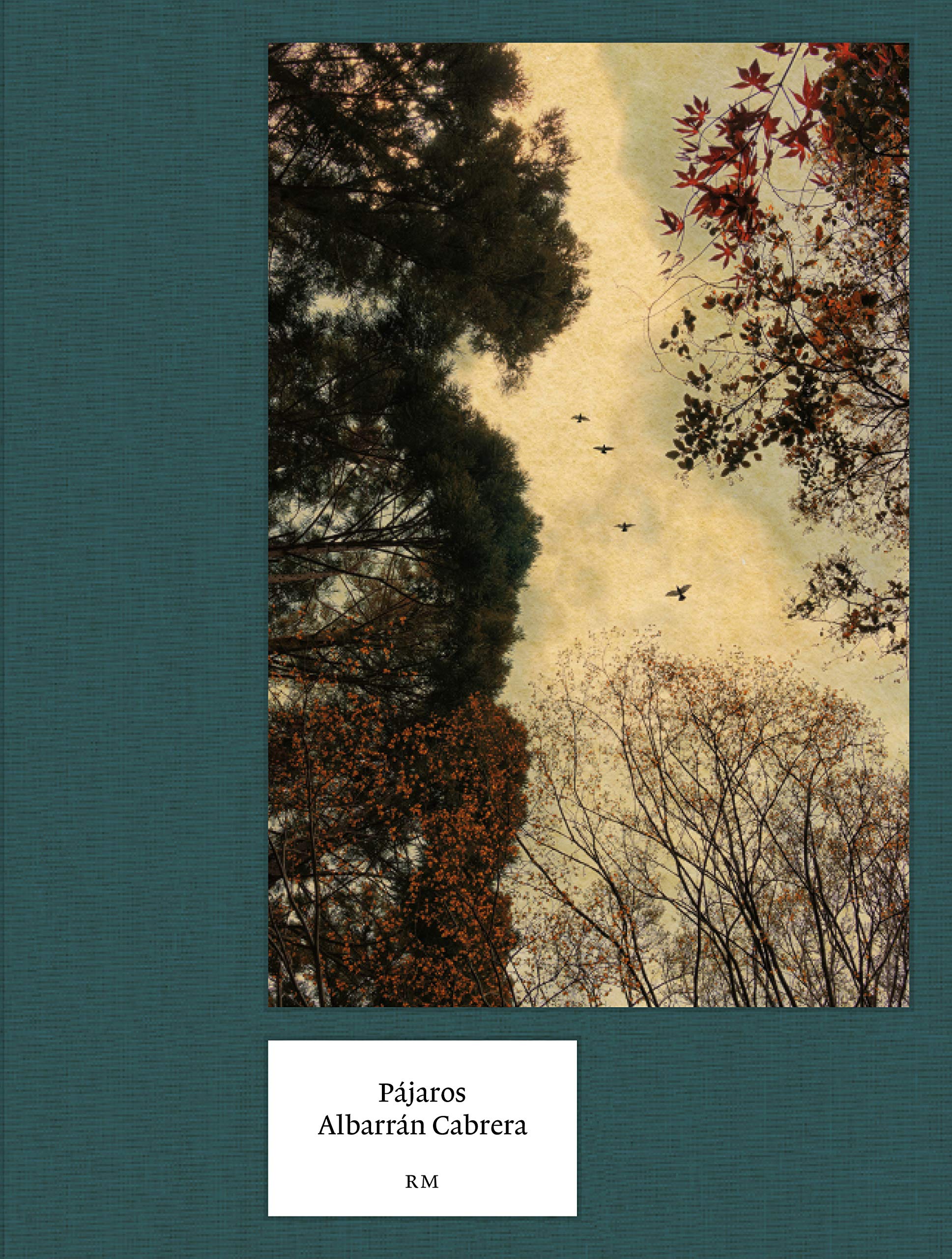 Pájaros (Hardcover)