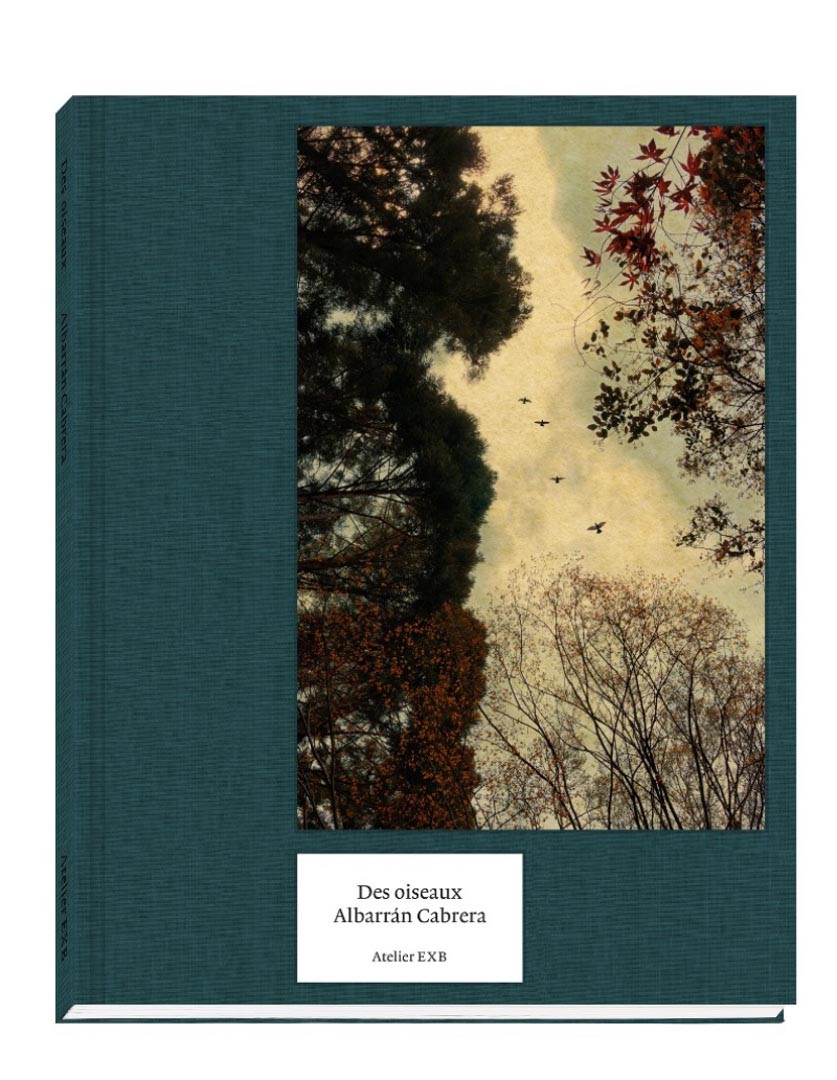Des Oiseaux - Albarran Cabrera (Hardcover)