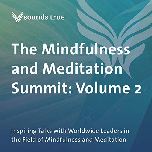 The mindfulness and meditation summit: volume 2