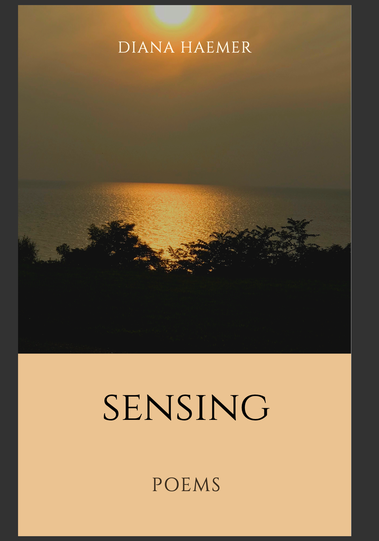 Sensing (Paperback)