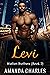 Levi (Walton Brothers #2)