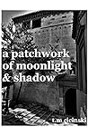 A Patchwork Of Moonlight And Shadow