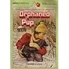 Orphaned Pup